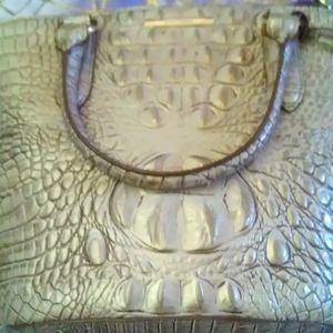 Sugar canes set with ocean